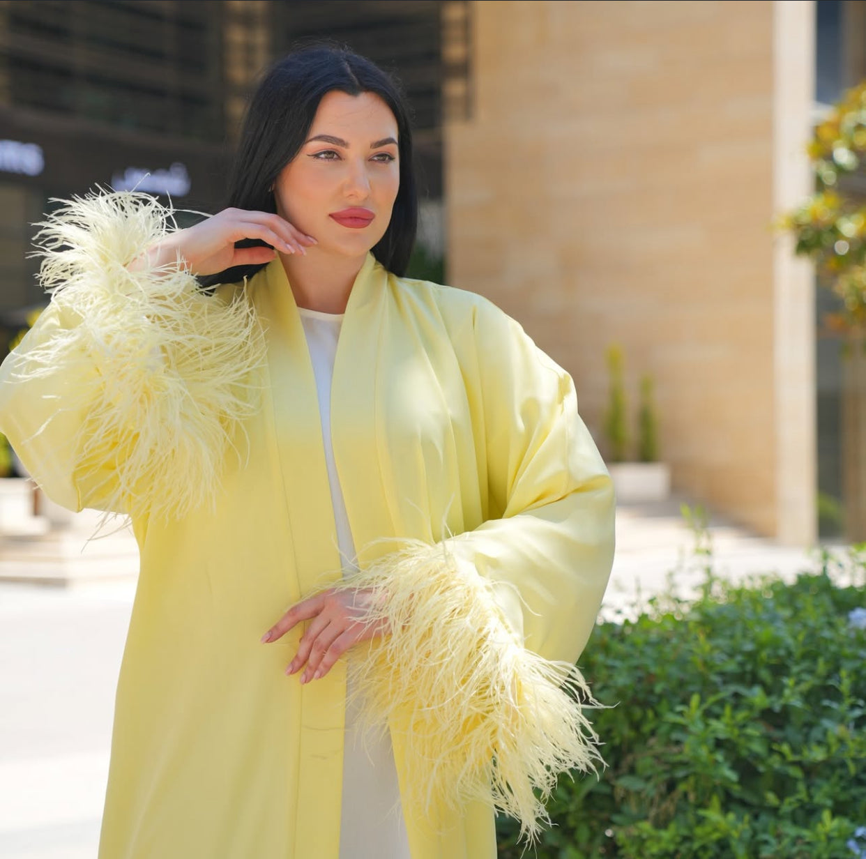 Arabic abaya